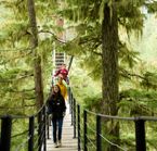 Ziptrek Whistler