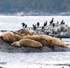 Aggrandir la photo 3