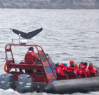 Aggrandir la photo 2