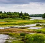 Parc de Kouchibouguac au Nouveau-Brunswick