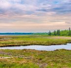 Parc de Kouchibouguac au Nouveau-Brunswick
