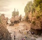 Hopewell Rocks à marée basse
