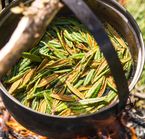 Native dish