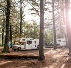 Algonquin Park Campground