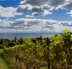 Waupoos Estates Winery