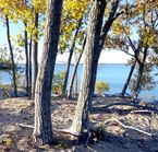 Sandbanks Provincial Park