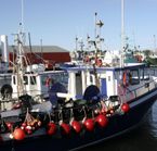 Port de Caraquet, Nouveau-Brunswick