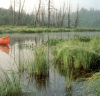 Canoe trip in Mont Orford Park