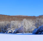 Aggrandir la photo 2