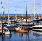 Marina de Shediac, New-Brunswick