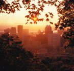 Downtown Montreal, view from Mount-Royal