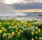 Un matin de printemps aux chutes du Niagara