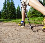 Gaspesie National Park, a paradise for hikers