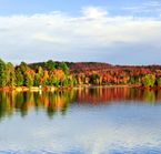 Oka National Park in the fall