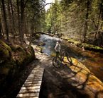 The most beautiful mountain bike trails