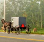 Amish Community