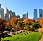 Central Park, New York