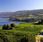 Vue de la vallée de l'Okanagan près de Naramata - © Don Weixl