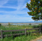 Plage Qualicum Beach, Canada