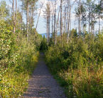 Tyhee Lake Provincial Park