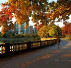 Vancouver’s Stanley Park