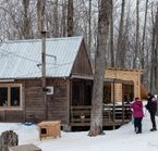 Déjeuner au camp du Musher