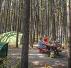 Emplacement sur le site