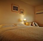 Room Queen bed