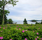 Enlarge photo 2