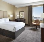 1 King Bed Harbourview