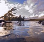 Pog Lake