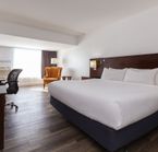 1 King room
