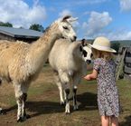Mini Ferme Du Boisé, Mauricie