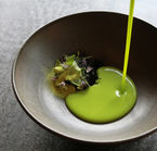 Gastronomic food