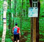 Randonnée en forêt - Parc de la Mauricie