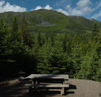 Gaspésie Park, View  