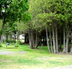 Typical terrain