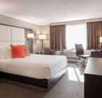 Room King Bed
