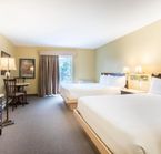 Chambre confort - 2 lits queen