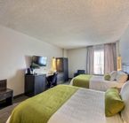 Standard room - 2 beds