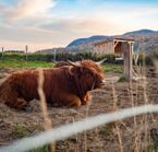 La Ferme
