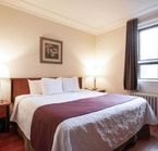 Regular room - 1 king bed