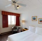 Room with 1 queen bed