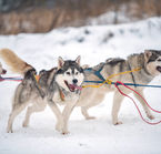 Aggrandir la photo 5