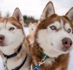 Aggrandir la photo 2