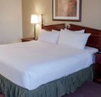 Chambre à 1 lit King