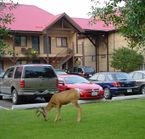 Aspen Village Inn
