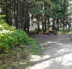 Standard - Non-Electrical Campsite