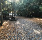 Cedar Falls Campground, Vernon