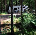 Site